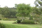 Madeleyresidential-landscaping-40.jpg; ?>